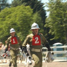 2100476.jpg