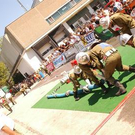2100506.jpg