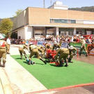 2100508.jpg