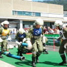 2100537.jpg
