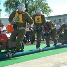 2100591.jpg