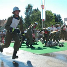 2100655.jpg