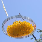 2100801.jpg