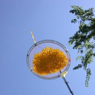 2100808.jpg
