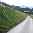 Bild 005_jpg-1282293751