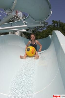 2120116.jpg