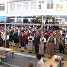 2120065.jpg