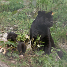zoo3.JPG