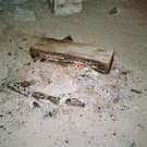 2135948.jpg