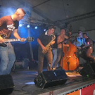 2153524.jpg