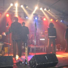 2153548.jpg