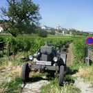 2163599.jpg
