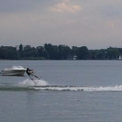 2170443.jpg