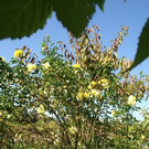 2200558.jpg