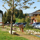 2200569.jpg