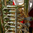2200571.jpg
