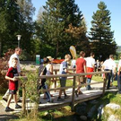 2200574.jpg