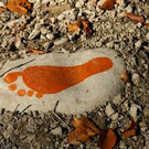 2200588.jpg