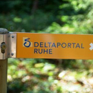 2200591.jpg