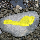 2200592.jpg