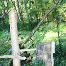 2200597.jpg