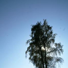 2200601.jpg