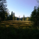 2200602.jpg