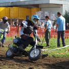2213166.jpg