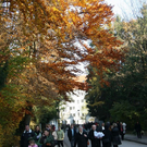 m2.jpg