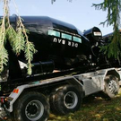 2229554.jpg