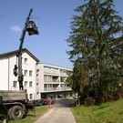2229559.jpg
