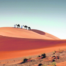 camels-desert_rbvn_610728999.jpg