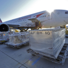 Ankunft Bildnis Wally 