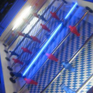 2240045.jpg