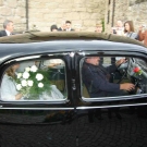 kP1070574.jpg