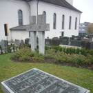 2259486.jpg