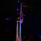 2290459.jpg