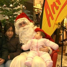 2300938.jpg