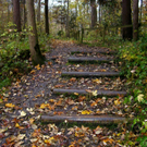 100_7203.jpg