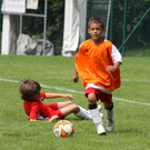 IMG_7506_jpg-1282316541