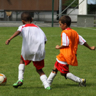 IMG_7508_jpg-1282316552