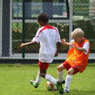 IMG_7520_jpg-1282316560