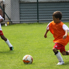 IMG_7522_jpg-1282316569