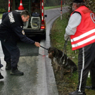 Bilder von der Hunderettung