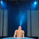 2382982.jpg