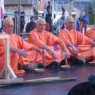 2385775.jpg
