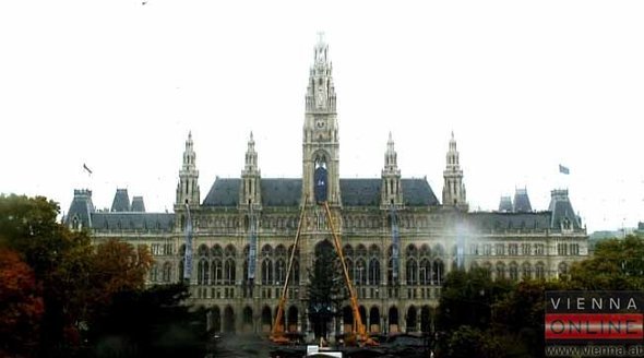 bd6.jpg
