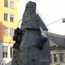 2413579.jpg