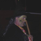 2410981.jpg