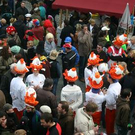 2415455.jpg